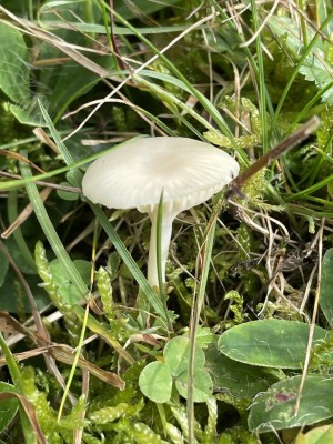 IMG_4977.JPG