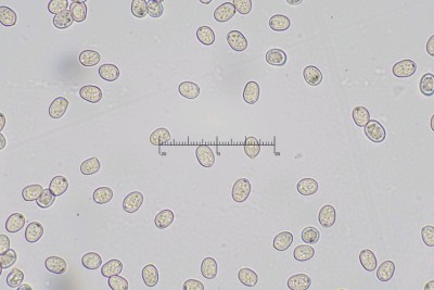 20251025-170305-03M.jpg
