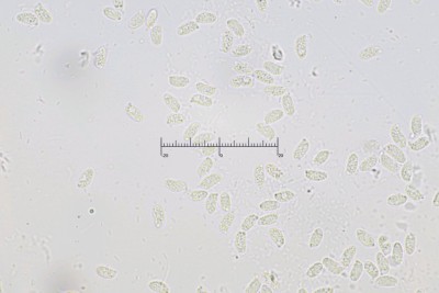 20251102-192716-12M.jpg