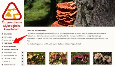 Bild1.jpg