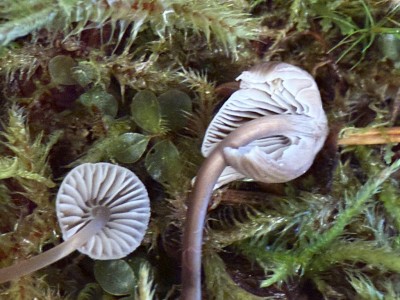 IMG_1306.JPG