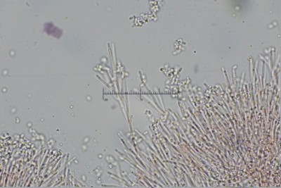 20251219-122245-04M.jpg