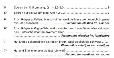 Flammulina.png