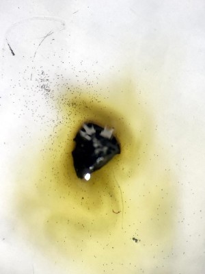 d9797a85-a83a-4aaf-bde1-a2594b0fb9d8.JPG