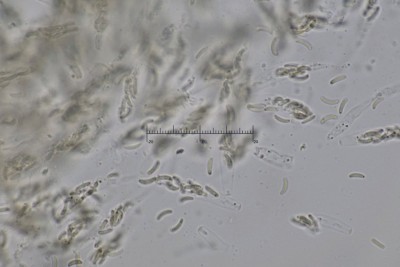 20260228-152126-09M.jpg