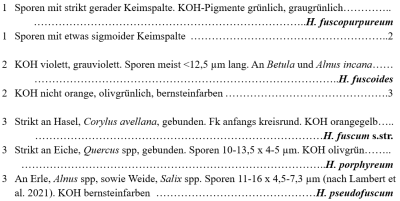 2025-05-29 23_58_46-Dokument1 - Word.png