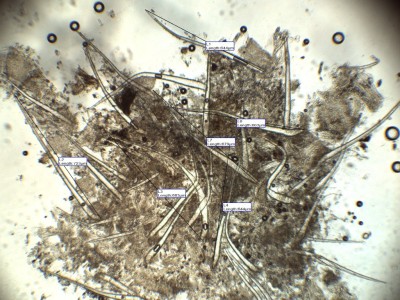 H2O_100_16_bak.jpg