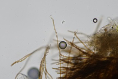 20260501-130118-01.jpg
