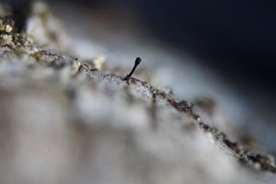 20260525-171808-00.jpg