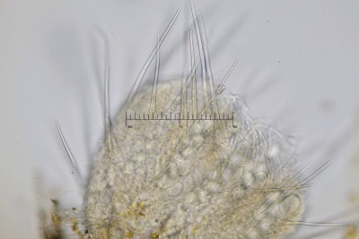 20260530-131822-04M.jpg