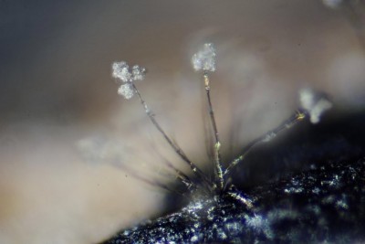 20260527-183550-00.jpg