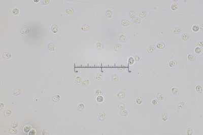 20250530-171440-02M.jpg