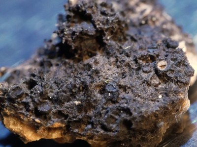 P1200791_web.JPG