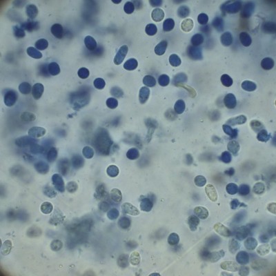 BWB_1000_13.jpg
