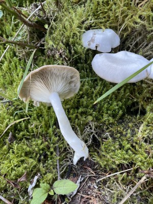 IMG_0067.JPG