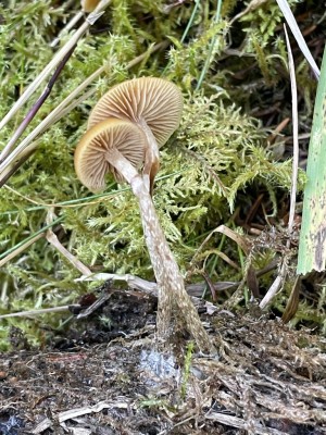 IMG_0047.JPG