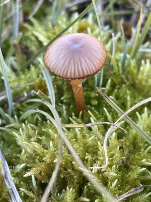 IMG_0109.JPG