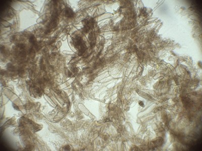 HDS_H2O_400_1.jpg