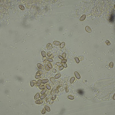 H2O_1000_11.jpg