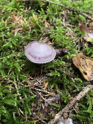 IMG_3361.JPG