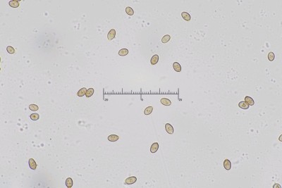 20250727-101420-01M.jpg
