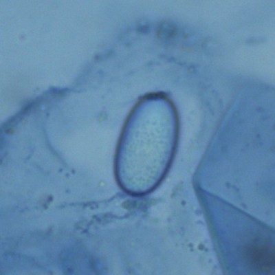 BWB_1000_12.jpg