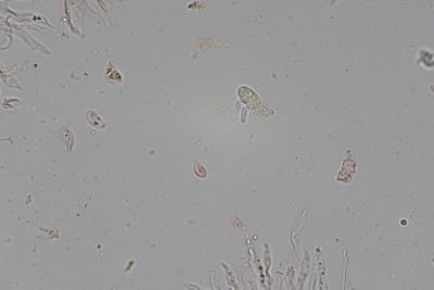 20250516-173705-12.jpg