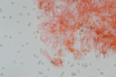 20250805-073428-09.jpg
