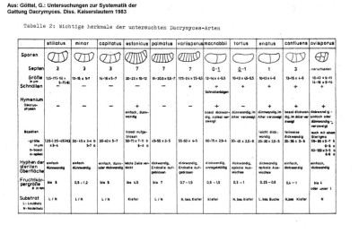 Bestimmungsschlüssel Dacrymyces
