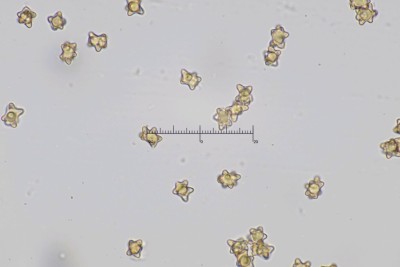 20250816-175627-04M.jpg