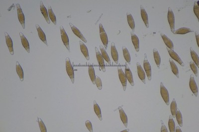 20250517-135116-02M.jpg