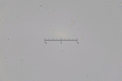 20250518-143026-09M.jpg