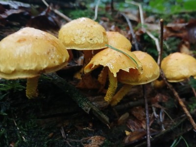 20250828_162604.jpg