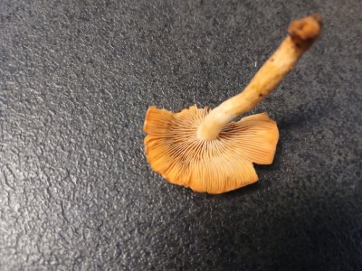 20250830_080742.jpg